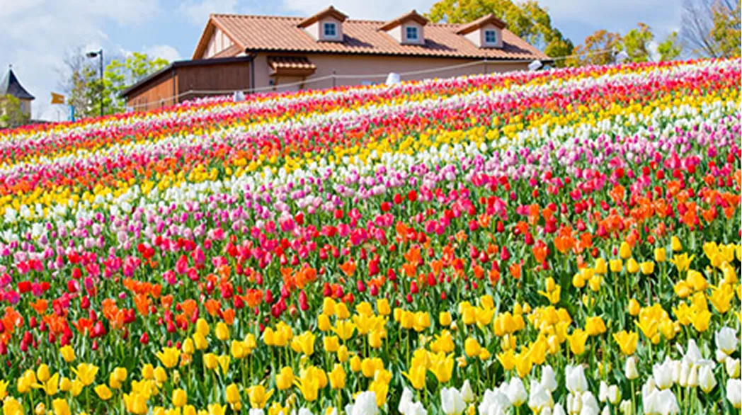 堺・緑のミュージアム ハーベストの丘